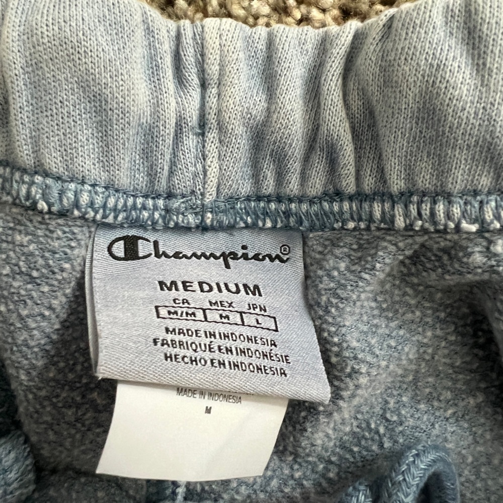 Champion sweatpants